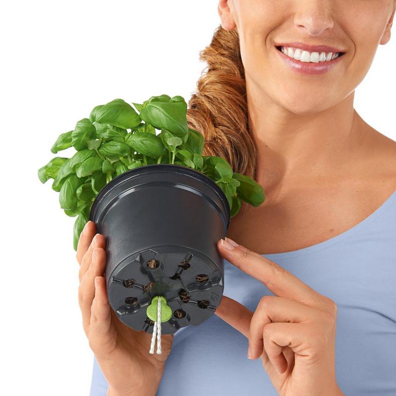 le_cube-color_product_addi_02